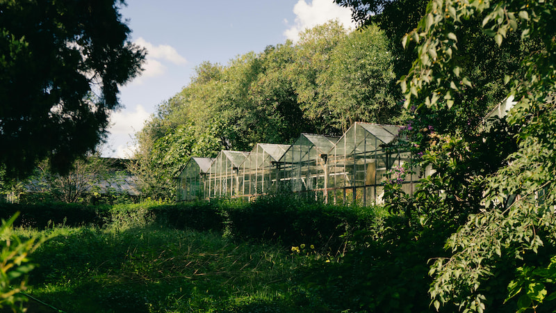 Тепличные строения Теплицы для растений